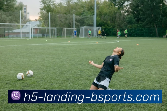 B体育APP 封面图